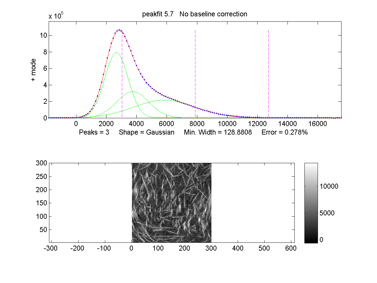 Middle XY Slice of Sample Image